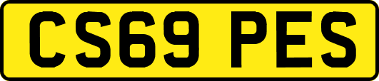 CS69PES