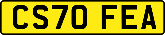 CS70FEA