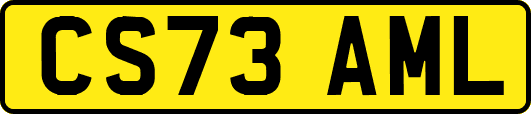 CS73AML