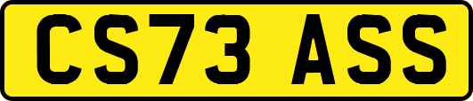 CS73ASS