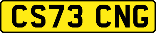 CS73CNG