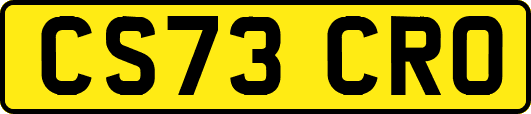 CS73CRO
