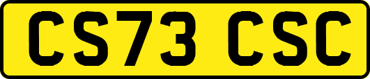 CS73CSC