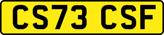 CS73CSF