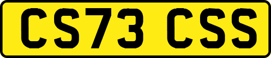 CS73CSS