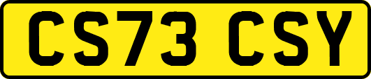 CS73CSY