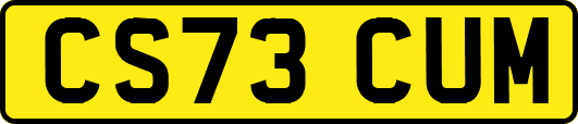 CS73CUM