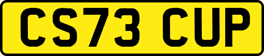 CS73CUP