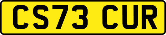 CS73CUR