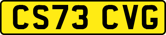 CS73CVG