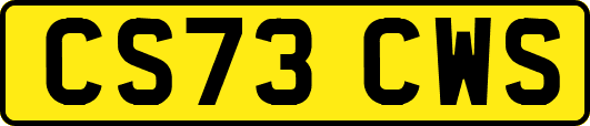 CS73CWS
