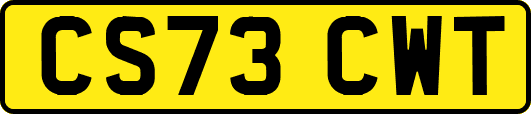 CS73CWT