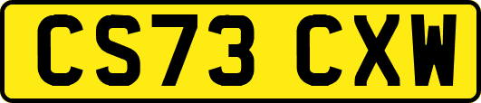CS73CXW