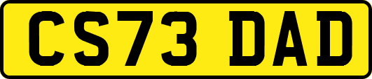 CS73DAD