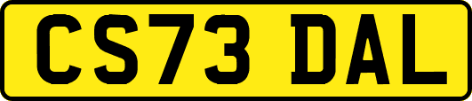 CS73DAL