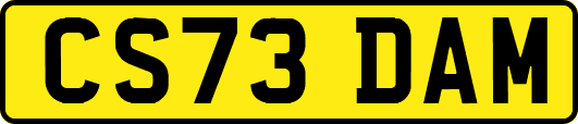CS73DAM