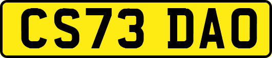 CS73DAO