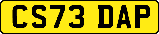 CS73DAP