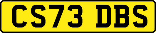 CS73DBS