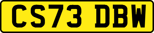 CS73DBW