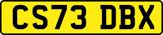 CS73DBX