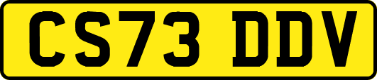 CS73DDV