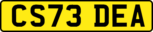 CS73DEA