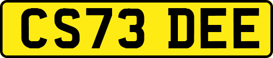 CS73DEE