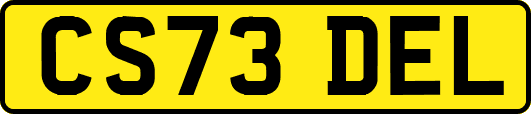 CS73DEL