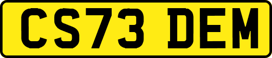 CS73DEM