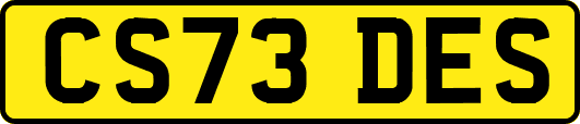 CS73DES