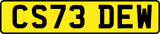 CS73DEW