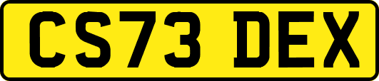 CS73DEX