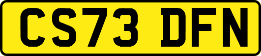 CS73DFN