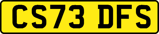 CS73DFS