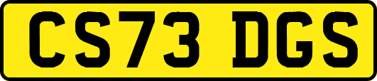 CS73DGS