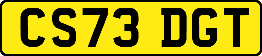 CS73DGT