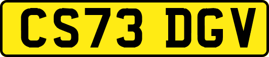 CS73DGV
