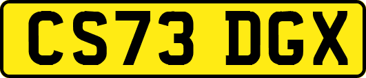 CS73DGX