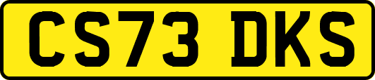 CS73DKS