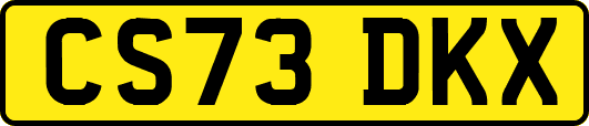 CS73DKX