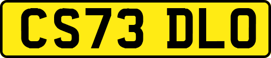 CS73DLO
