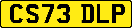 CS73DLP