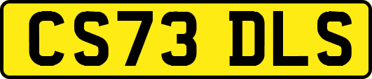 CS73DLS