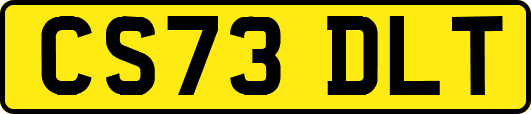 CS73DLT