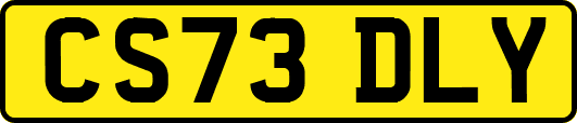 CS73DLY