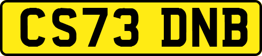CS73DNB
