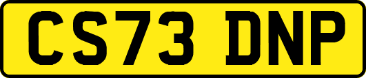 CS73DNP