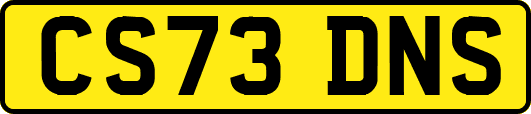 CS73DNS