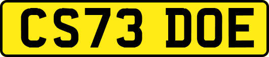 CS73DOE
